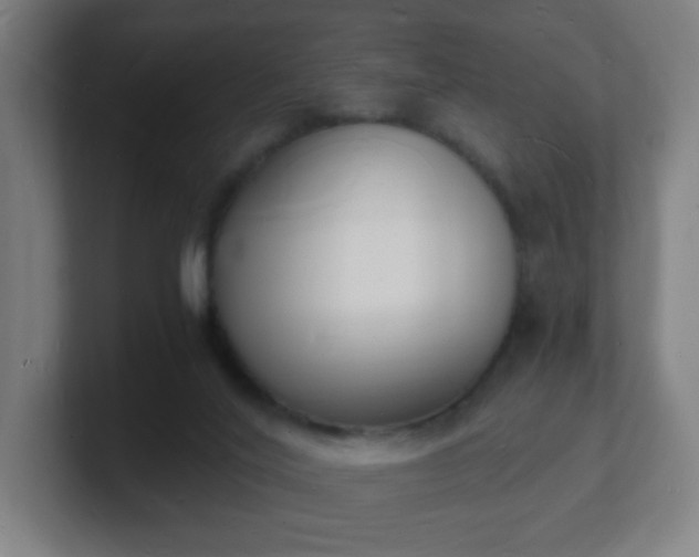 X0000101670020200807171345