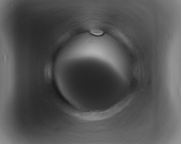 X0000101670023200807171345