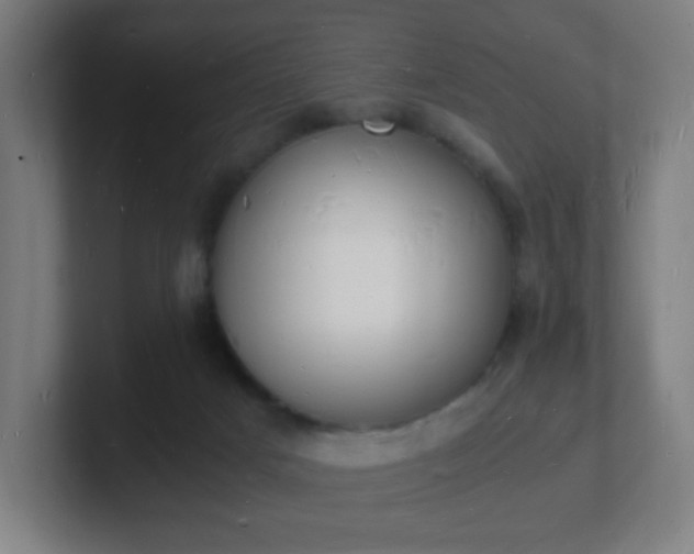 X0000101670025200807171345