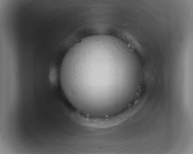 X0000101670026200807171345