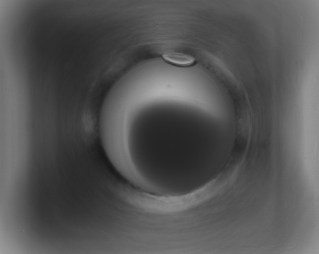 X0000101670031200807171345