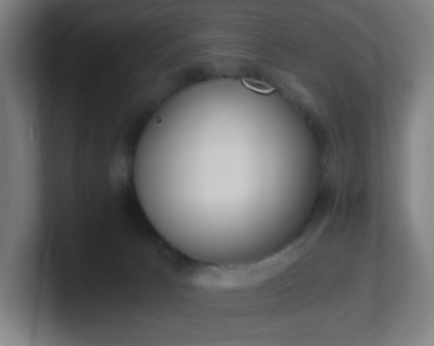 X0000101670033200807171345