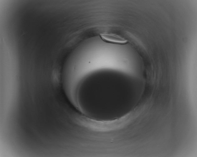 X0000101670035200807171345
