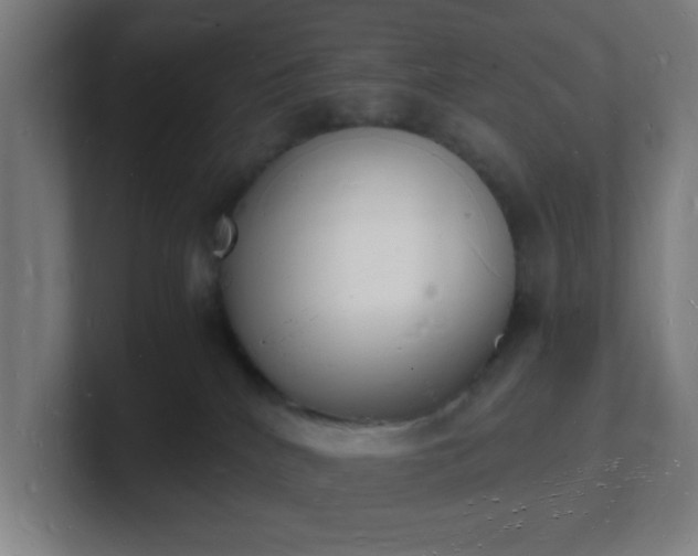 X0000101670040200807171345