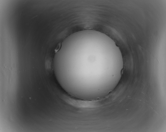 X0000101670044200807171345
