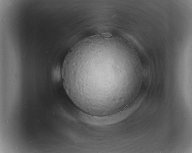 X0000101670046200807171345