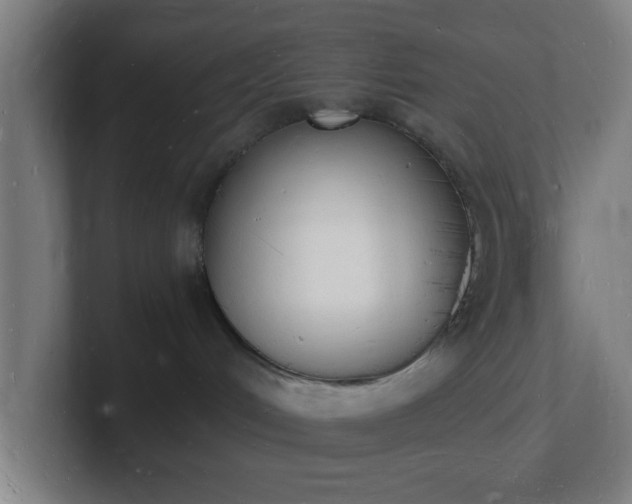X0000101670048200807171345