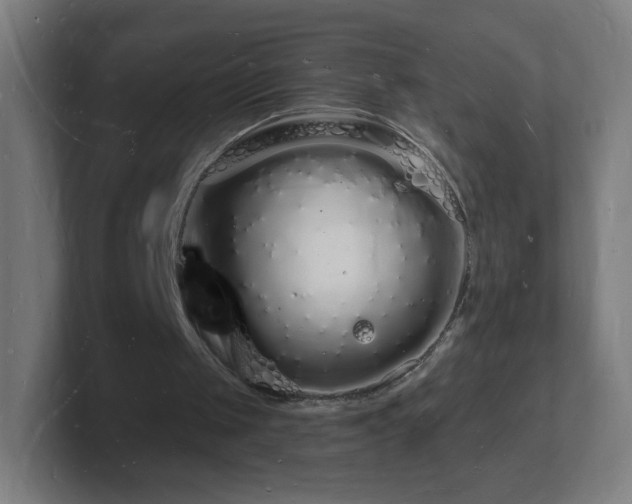 X0000101670049200807171344