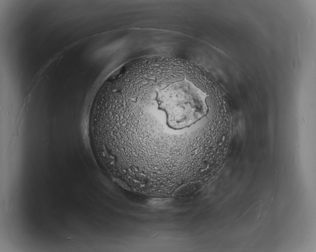 X0000101670051200807171344