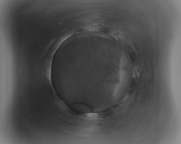 X0000101670052200807171344