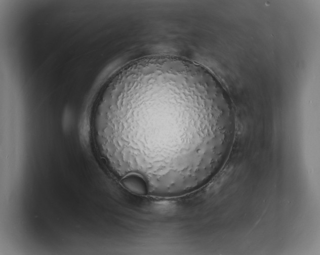 X0000101670053200807171344