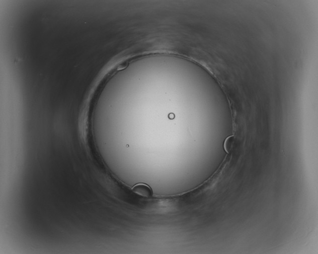 X0000101670056200807171344