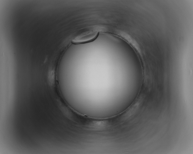 X0000101670057200807171344
