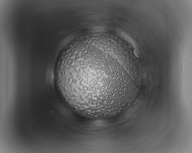X0000101670059200807171345