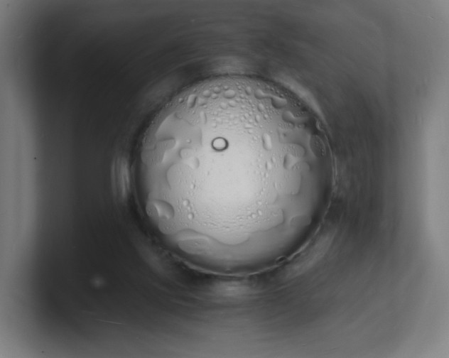 X0000101670061200807171345