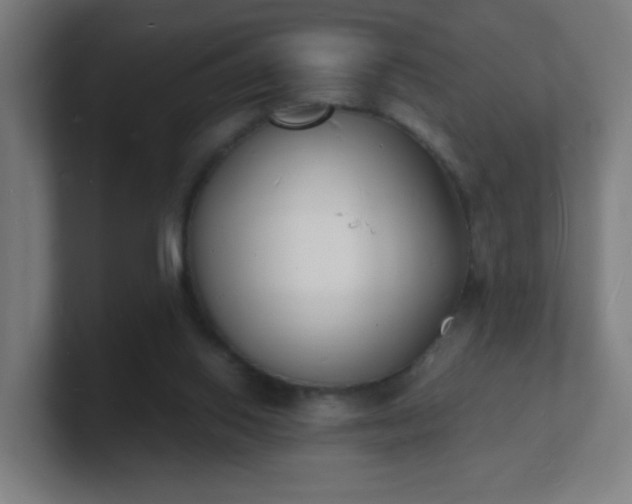 X0000101670062200807171345