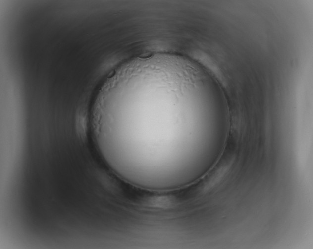 X0000101670063200807171345