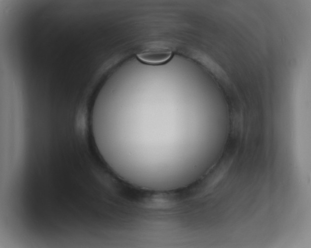 X0000101670064200807171345