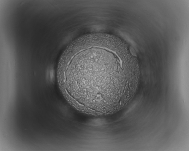 X0000101670067200807171345