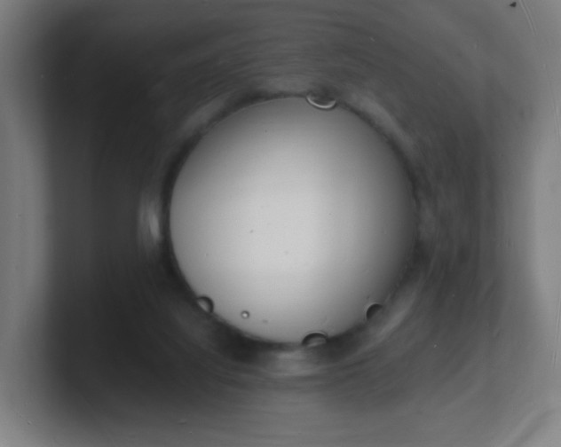 X0000101670068200807171345