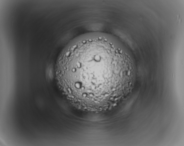 X0000101670069200807171345