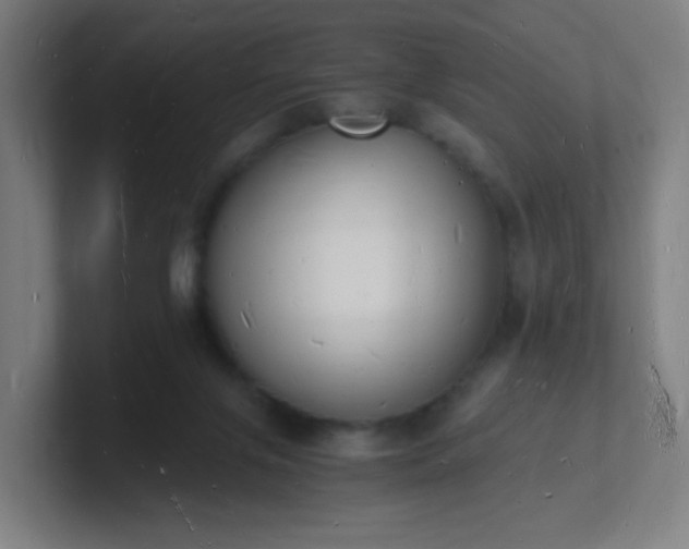 X0000101670071200807171345