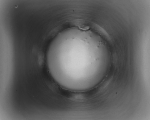 X0000101670073200807171345