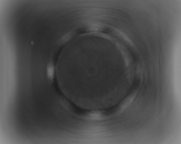 X0000101670076200807171345