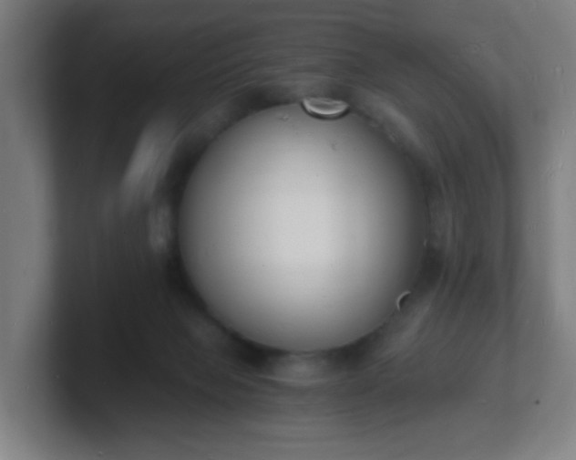 X0000101670077200807171345