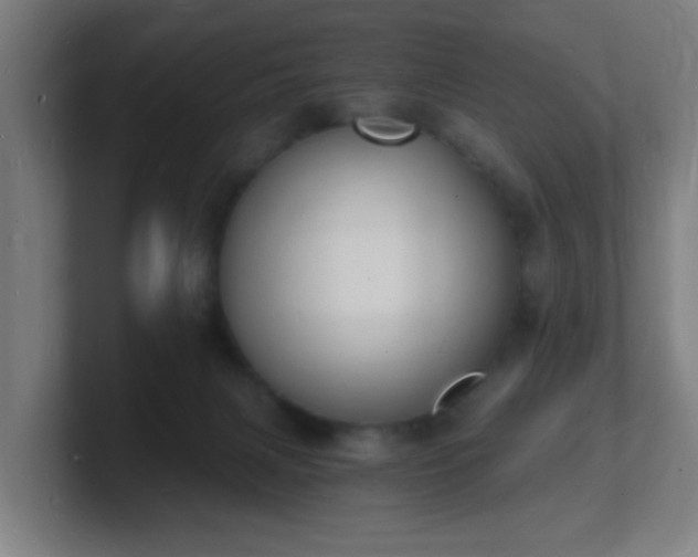 X0000101670079200807171345