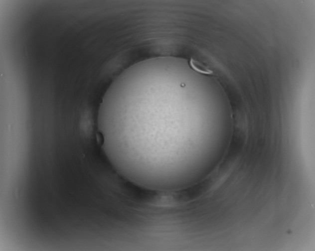 X0000101670080200807171345