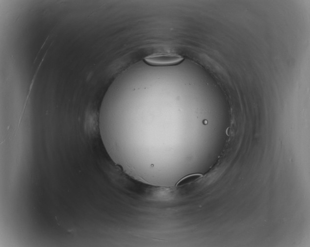 X0000101670096200807171345