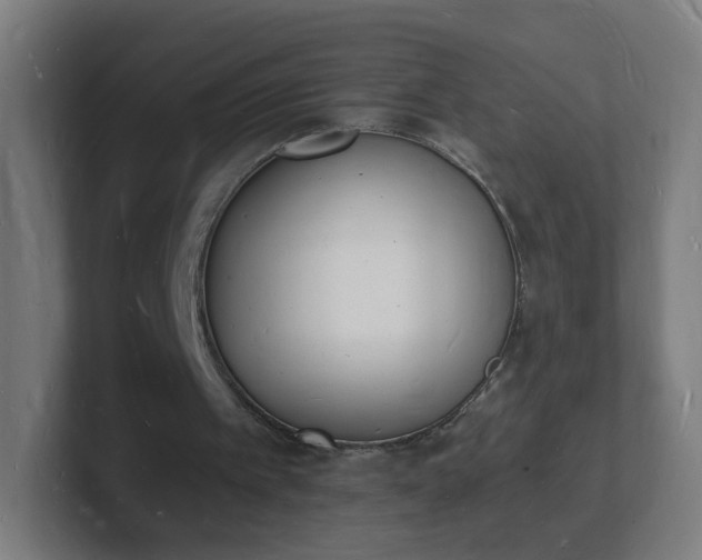 X0000101670097200807171344