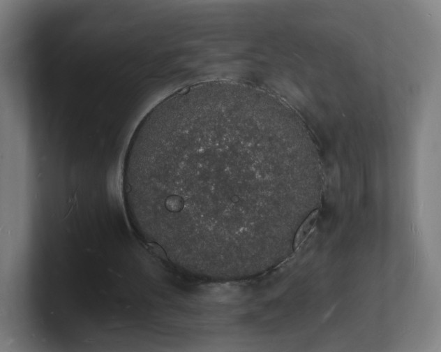 X0000101670100200807171344