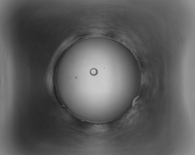 X0000101670101200807171344