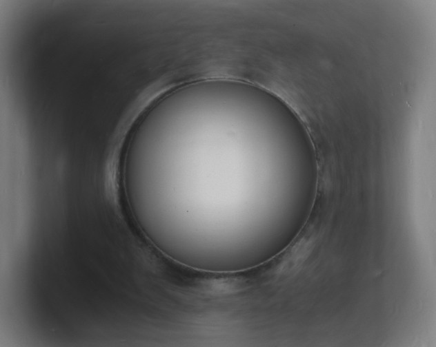 X0000101670103200807171344