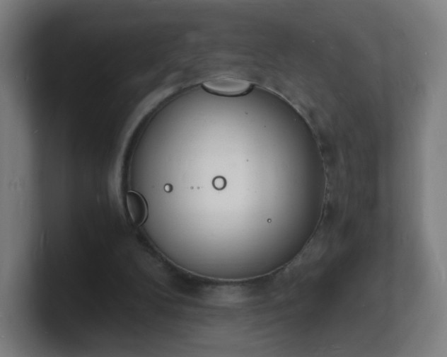X0000101670104200807171344