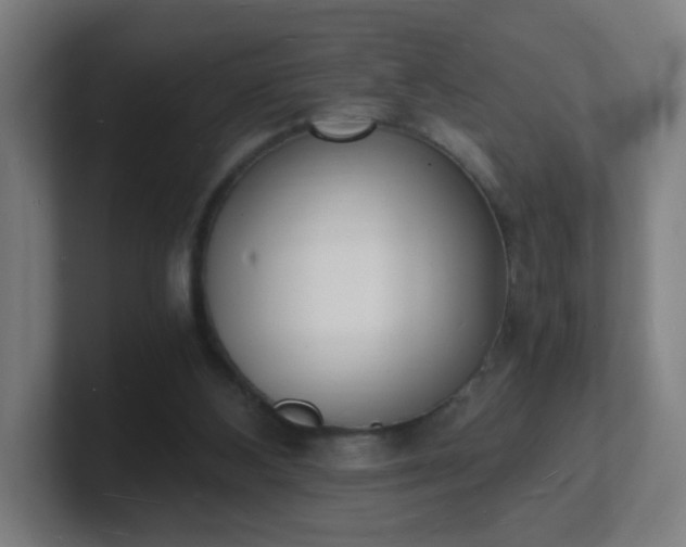 X0000101670108200807171344