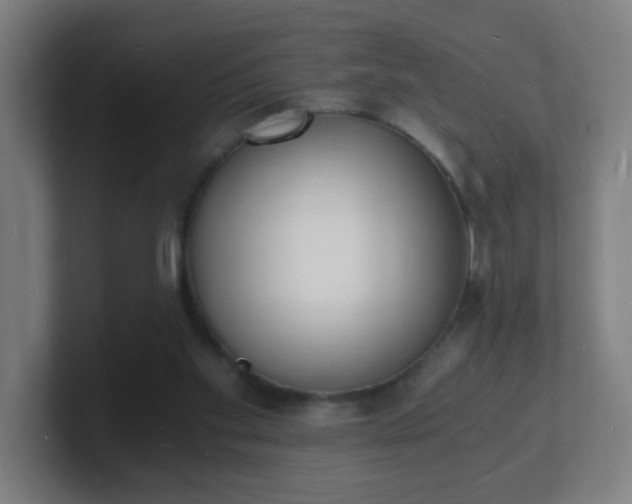 X0000101670109200807171344