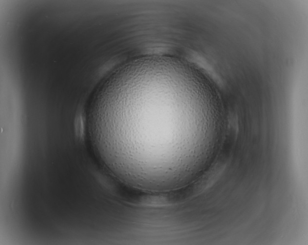 X0000101670110200807171344