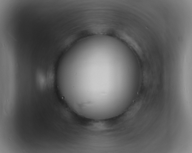 X0000101670113200807171344