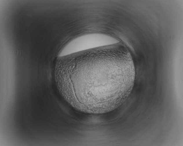 X0000101670114200807171344