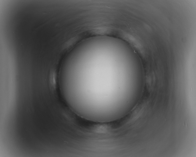 X0000101670115200807171344