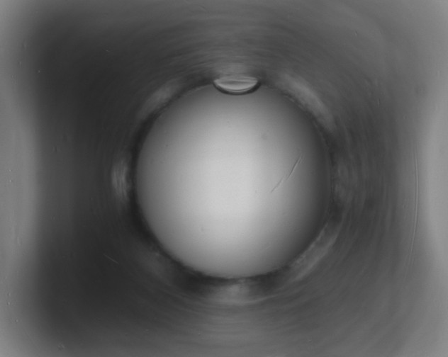 X0000101670116200807171344