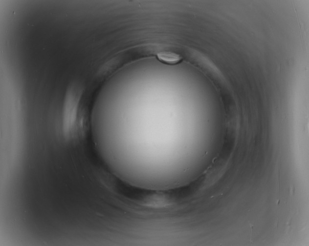 X0000101670119200807171344