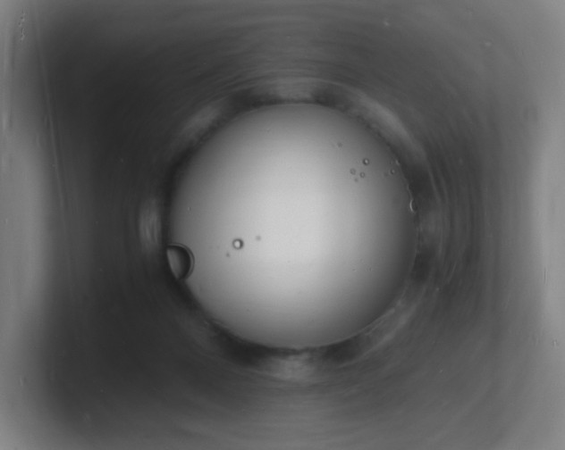 X0000101670120200807171344