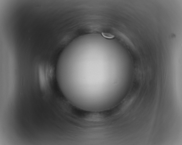 X0000101670123200807171344