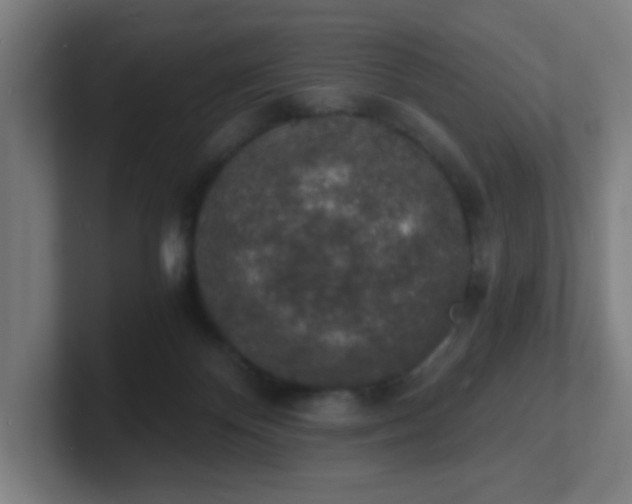 X0000101670124200807171344