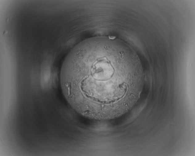 X0000101670127200807171344