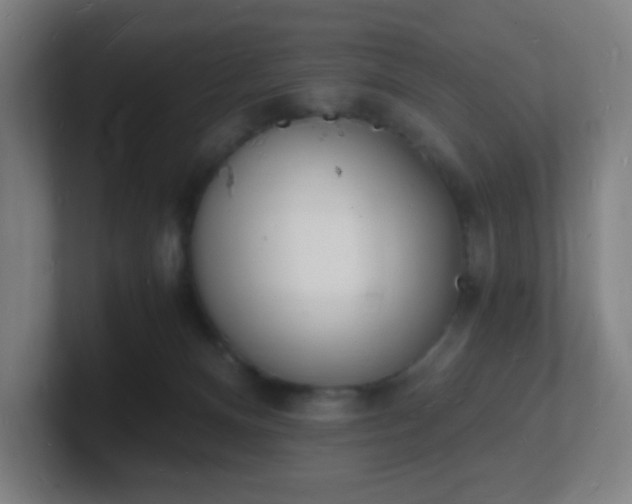 X0000101670128200807171344